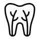 Tooth icon with roots displayed, representing dental care and endodontics services.